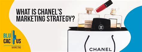 chanel digital strategy sydney|chanel brand strategy.